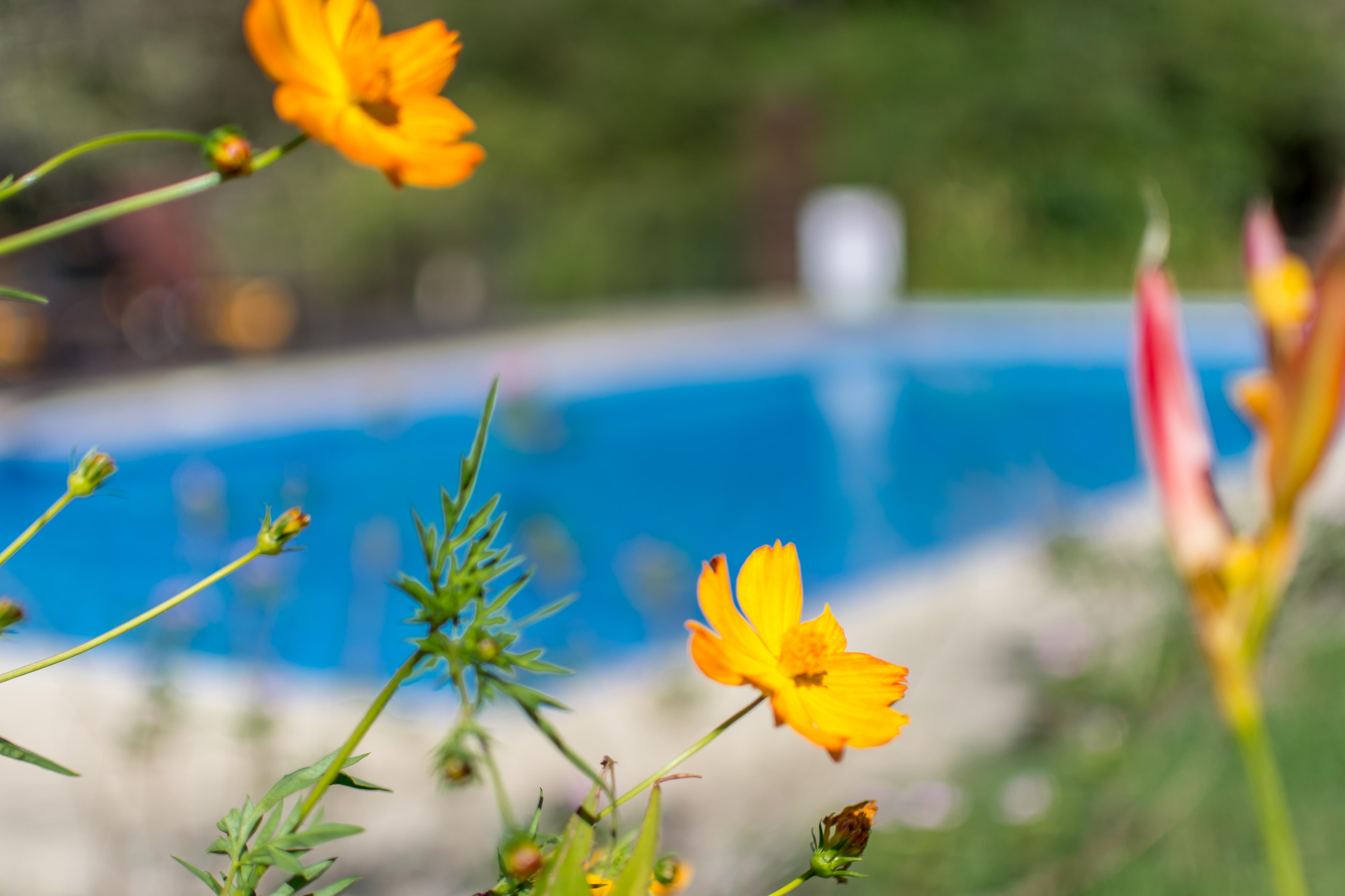 Rinconcito Lodge Hacienda Santa María Εξωτερικό φωτογραφία