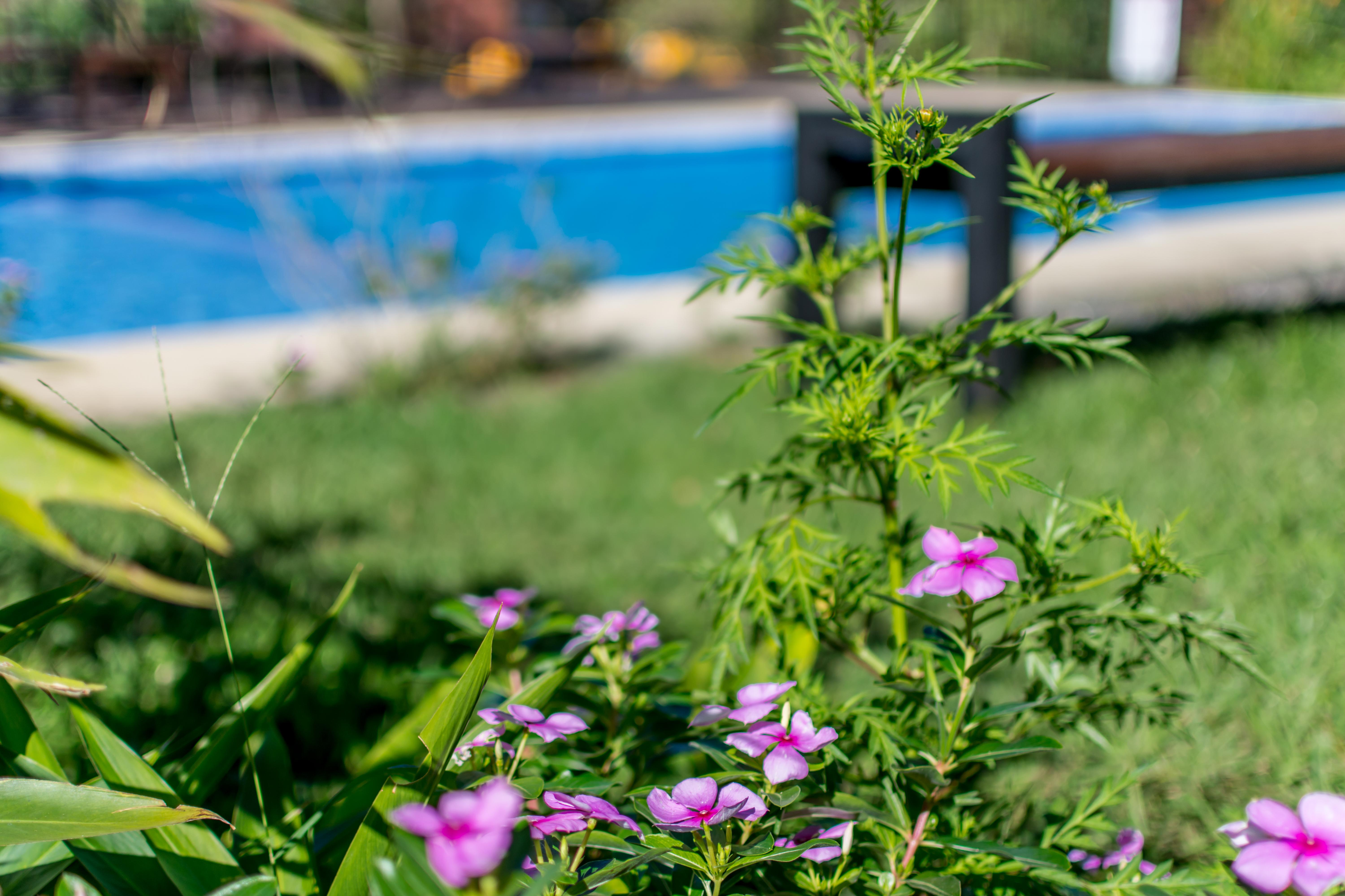 Rinconcito Lodge Hacienda Santa María Εξωτερικό φωτογραφία