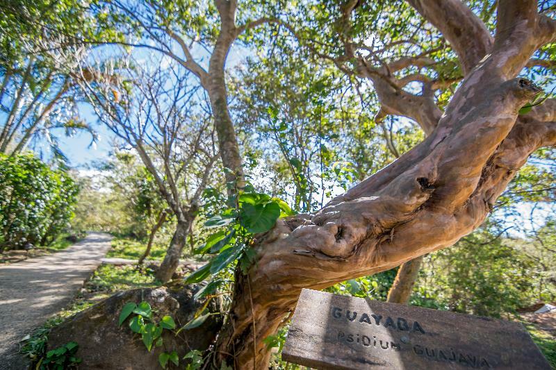 Rinconcito Lodge Hacienda Santa María Εξωτερικό φωτογραφία